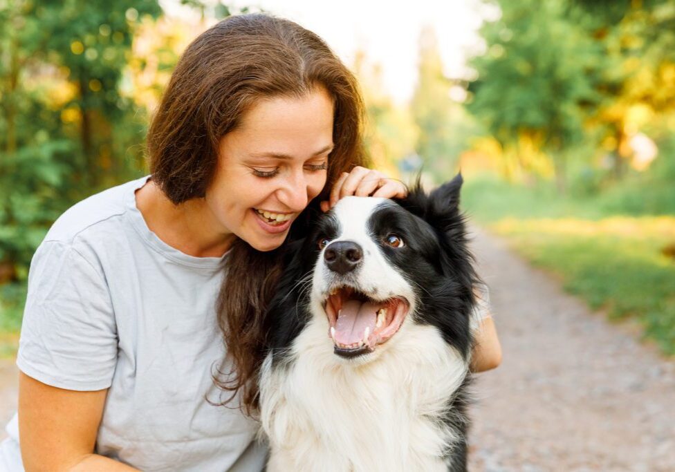 Woman Playing With Cute Border Collie