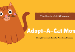 June 2018 Adopt A Pet at Forever Vets Animal Hospital in Florida banner
