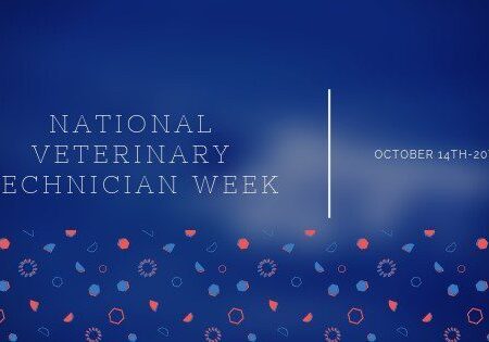 National Veterinary Technician Week banner at Forever Vets Animal Hospital in Florida