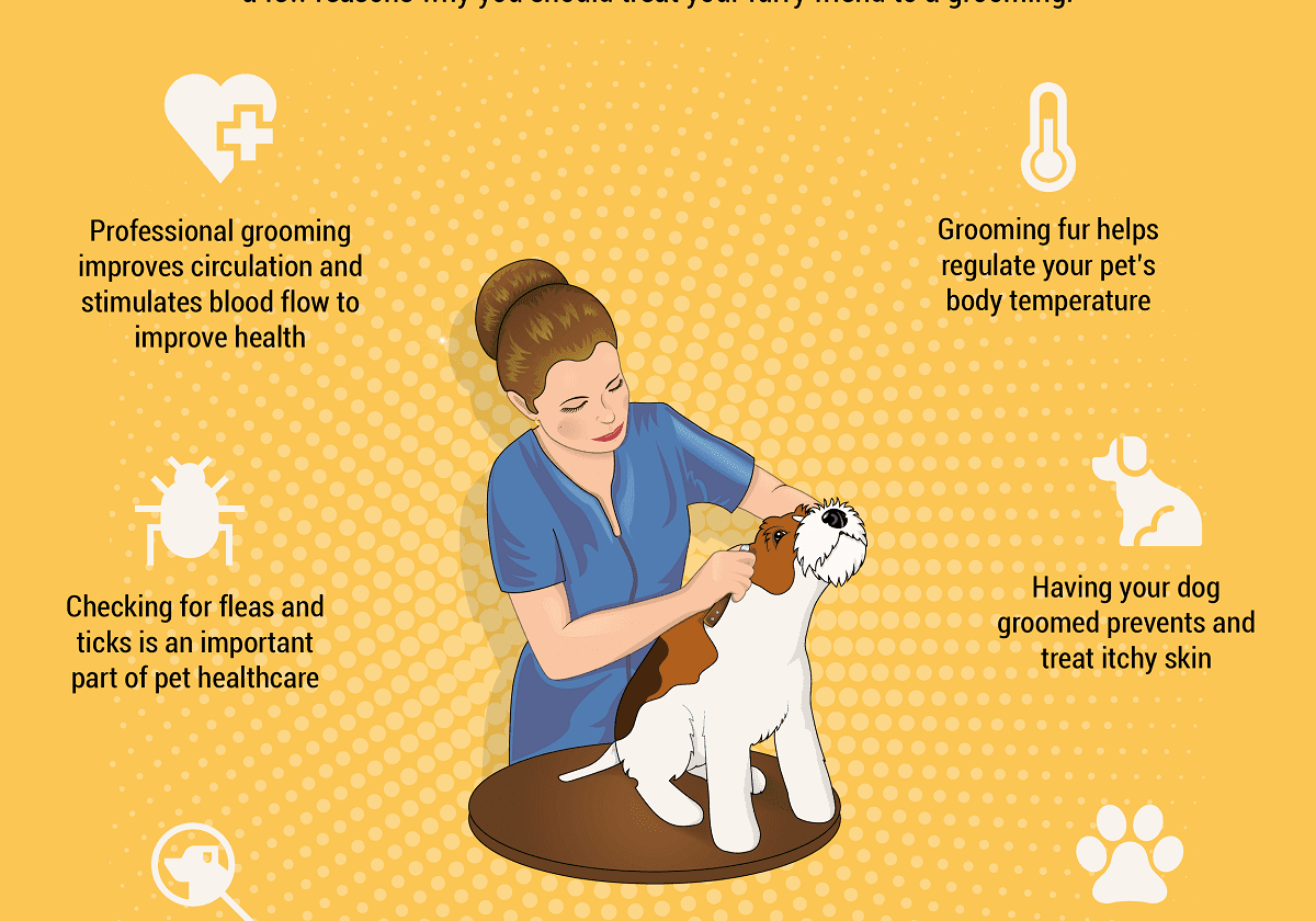 Why You Should Get Your Dog Groomed checklist banner