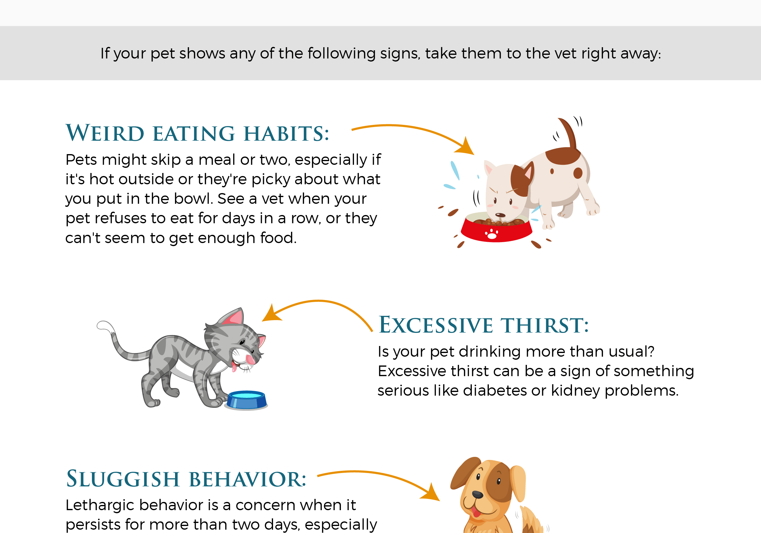 Signs Your Pet Needs To Be Seen By An Animal Hospital Checklist and Banner