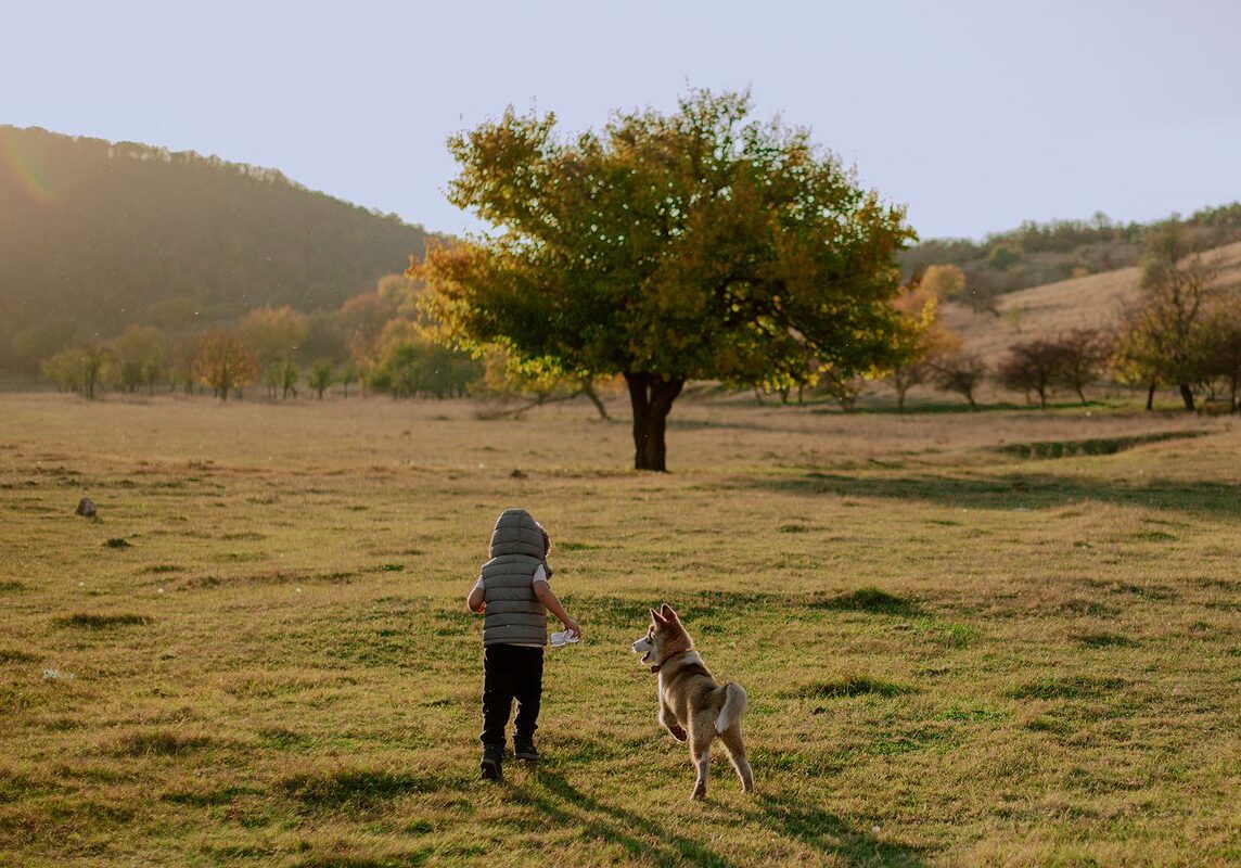 dog running with a boy outside