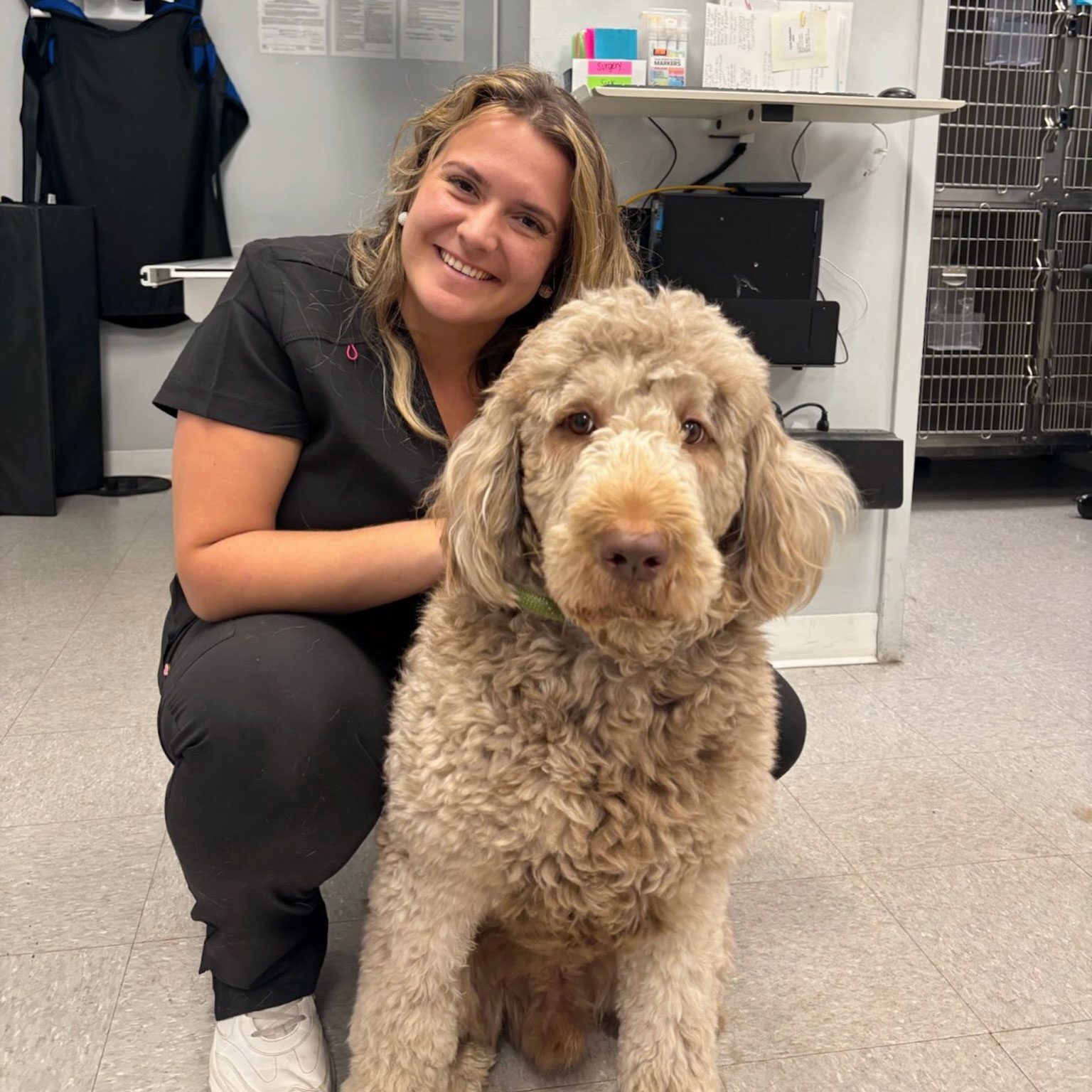 Vet Assistant Smiling With Curly Brown Dog