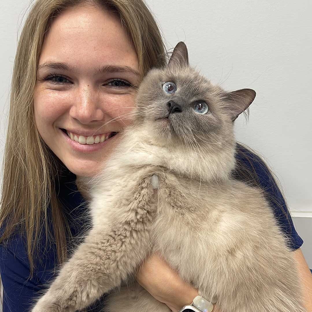 smiling technician holding a brown and gray cat