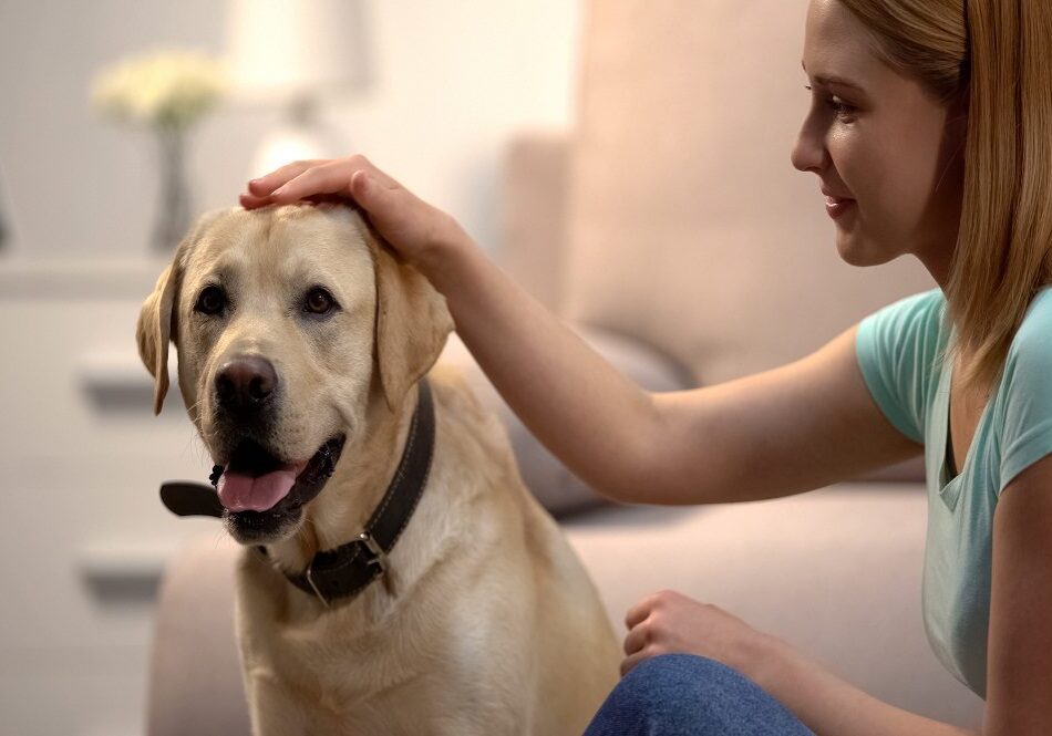 Woman Petting Her Dog