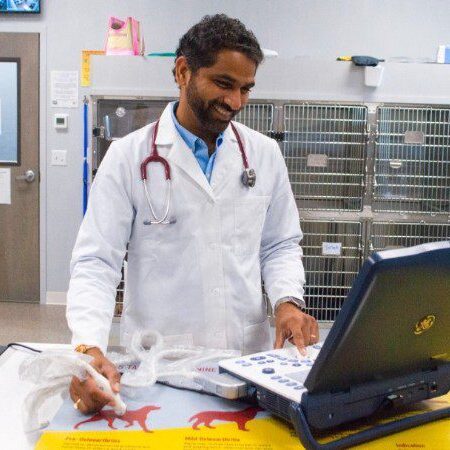 Dr G working on a computer at Forever Vets Animal Hospital