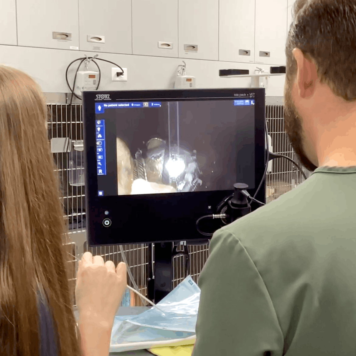 Endoscopy