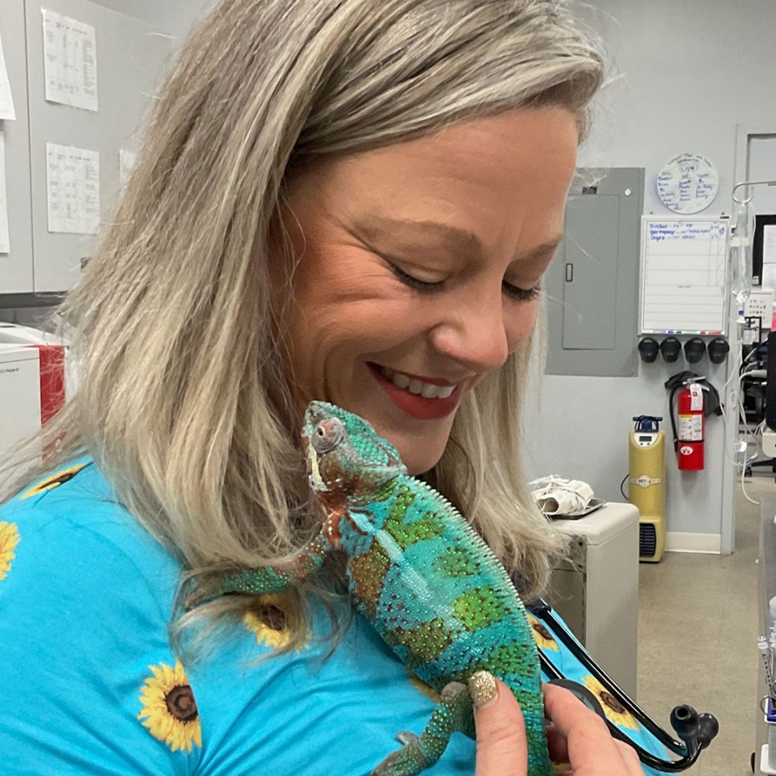 female veterinarian smiling while holding lizard on shoulder