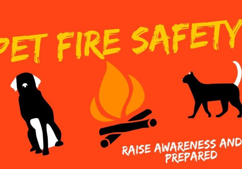Fire Safety Forever at Vets Animal Hospital in Florida banner
