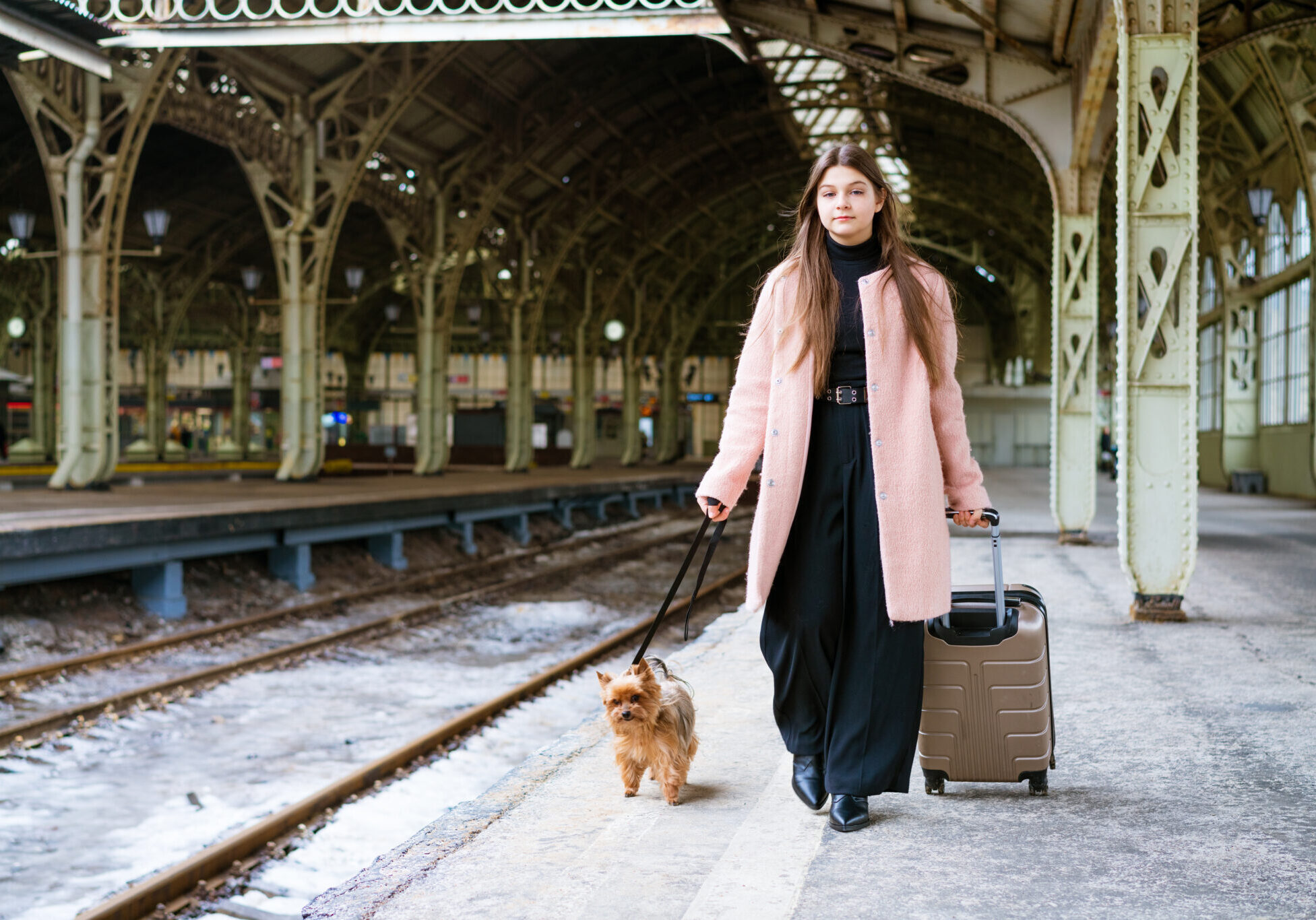 dog walking with his owner at the train station waiting for the train to come