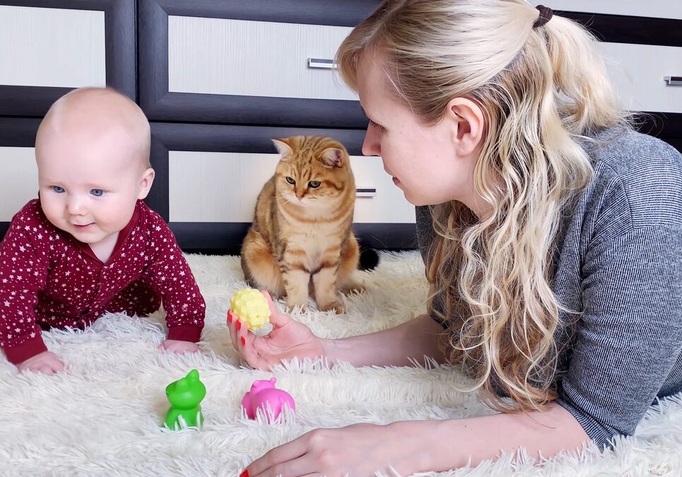 cat playing with baby and toys