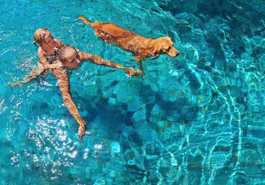 dog swimming in the pool with a woman and little girl