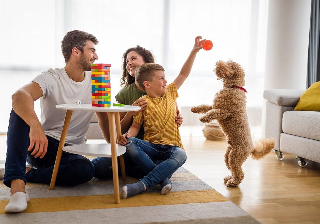 dog playing with his family in the living room
