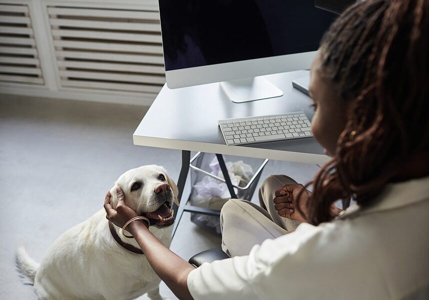dog being pet by his owner while she is working at a desk
