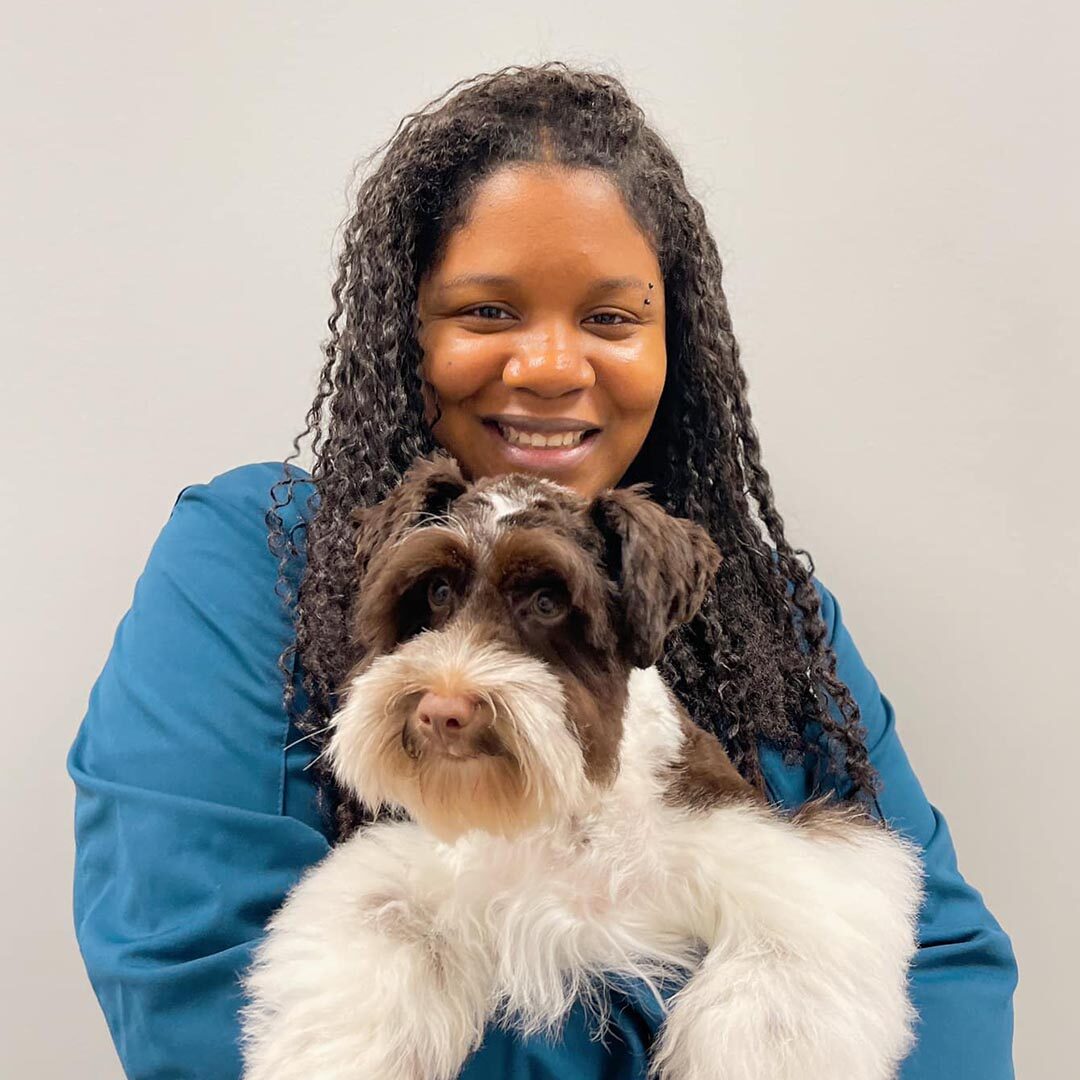 woman holding schnauzer and posing for a photo