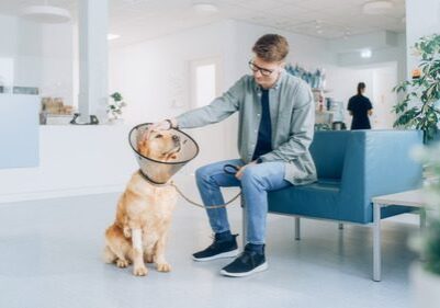 male owner sitting with golden retriever dog wearing an e-collar in the waiting room at the vet