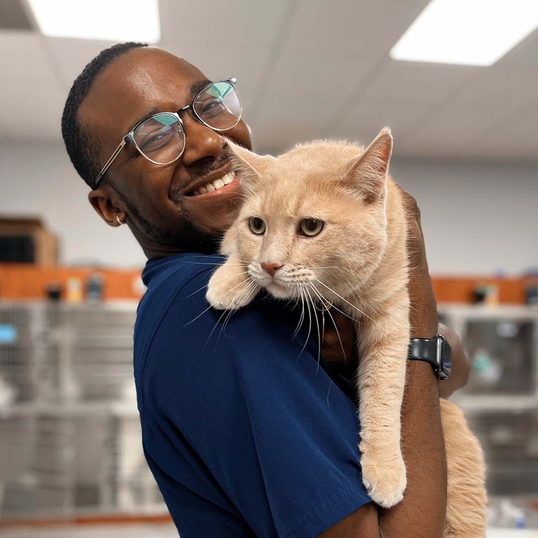 man holding light orange cat and smiling wide