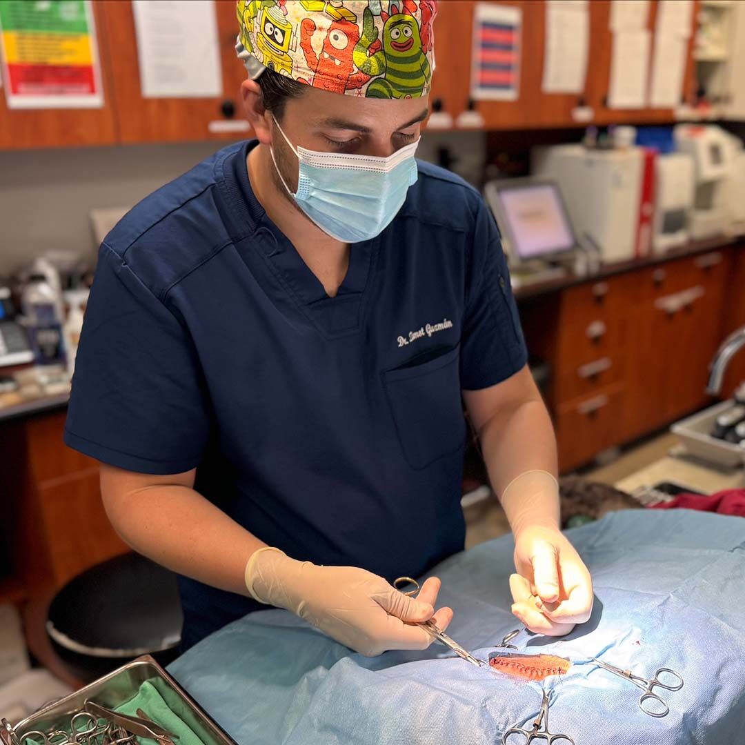 Dr. Z performing a mass removal