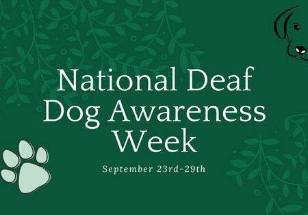 National Deaf Dogs Awareness Week Banner from September 2018