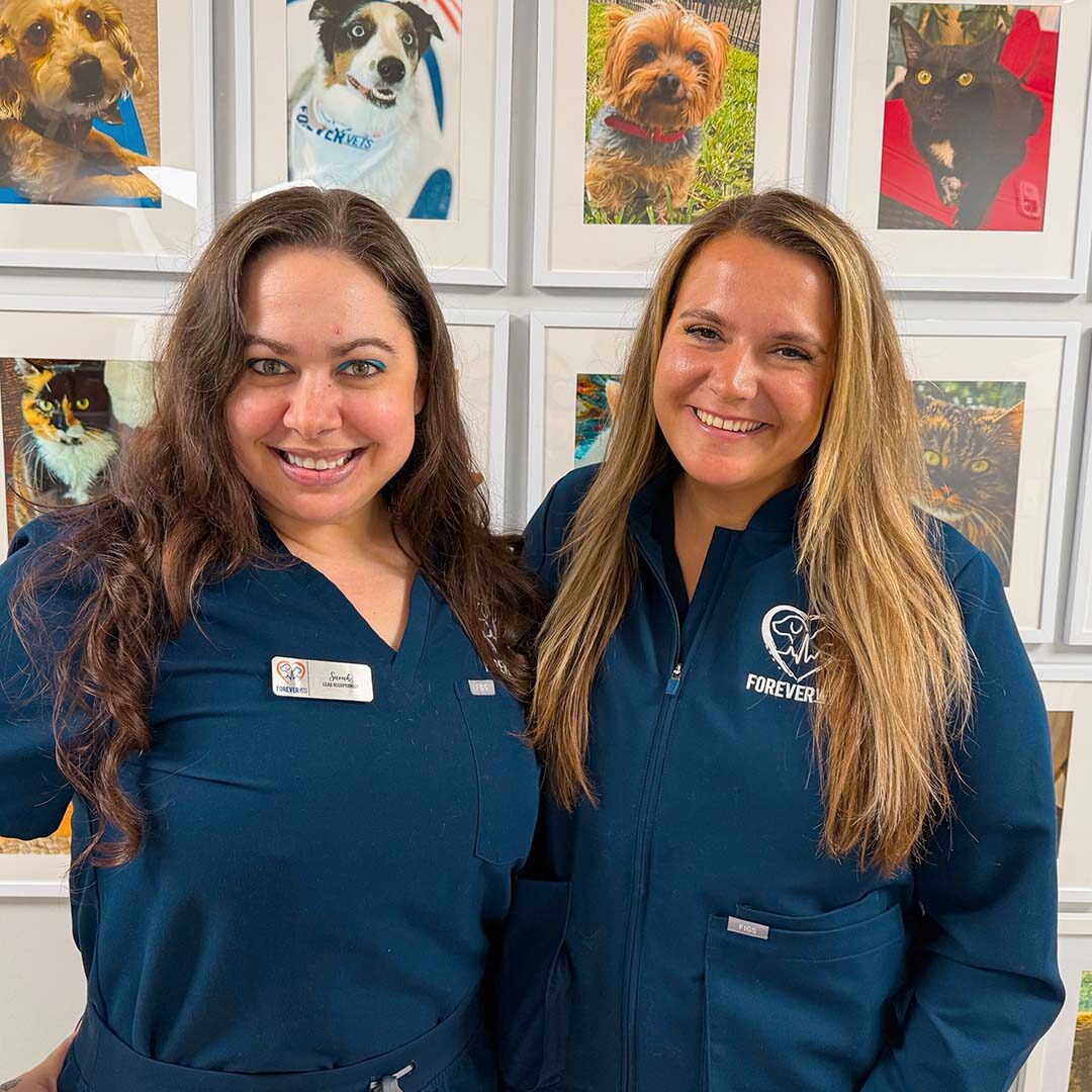 two receptionists smiling and posing for a photo in front of the pet wall