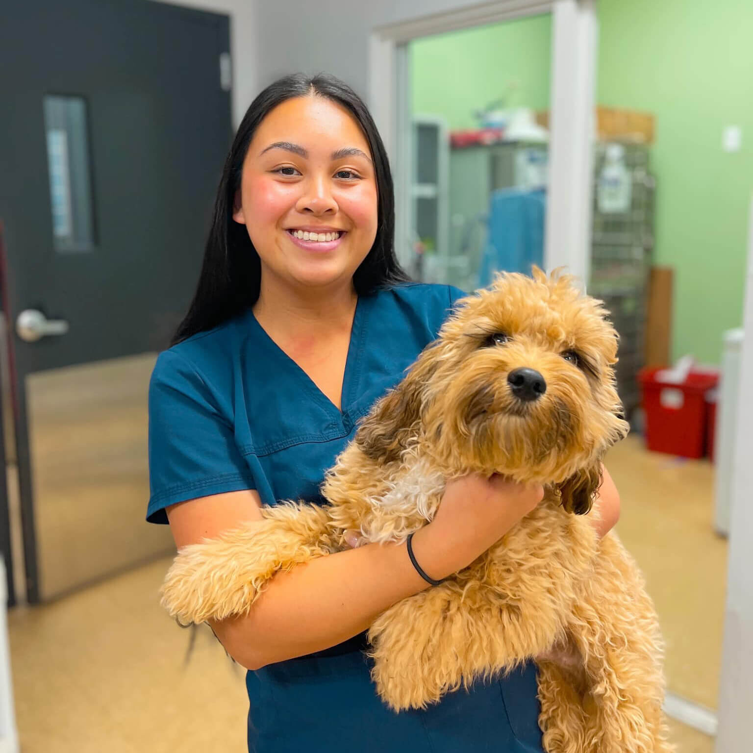 veterinarian holding a golden colored puppy and smiling