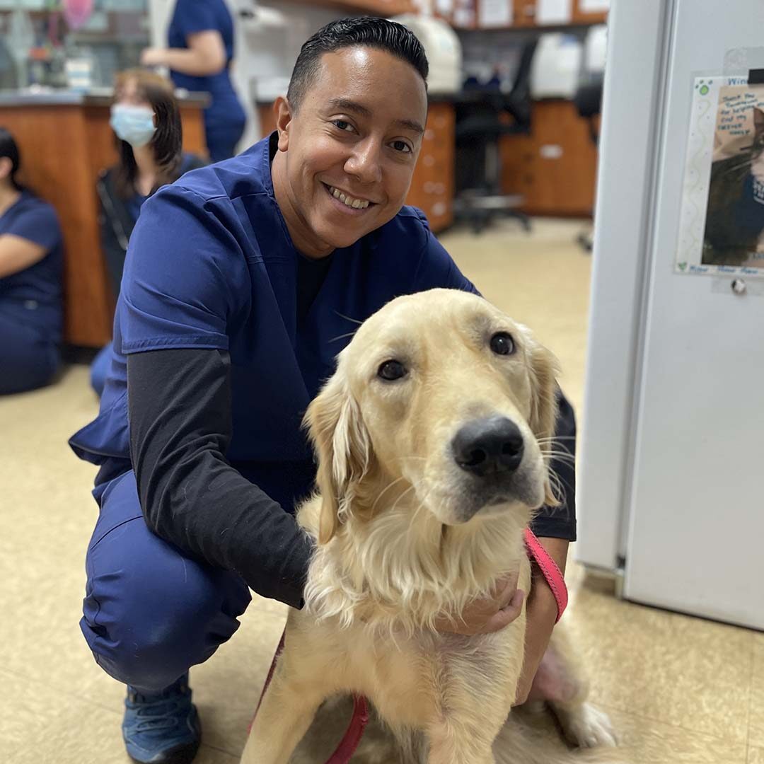technician posing for a photo with a golden retriever