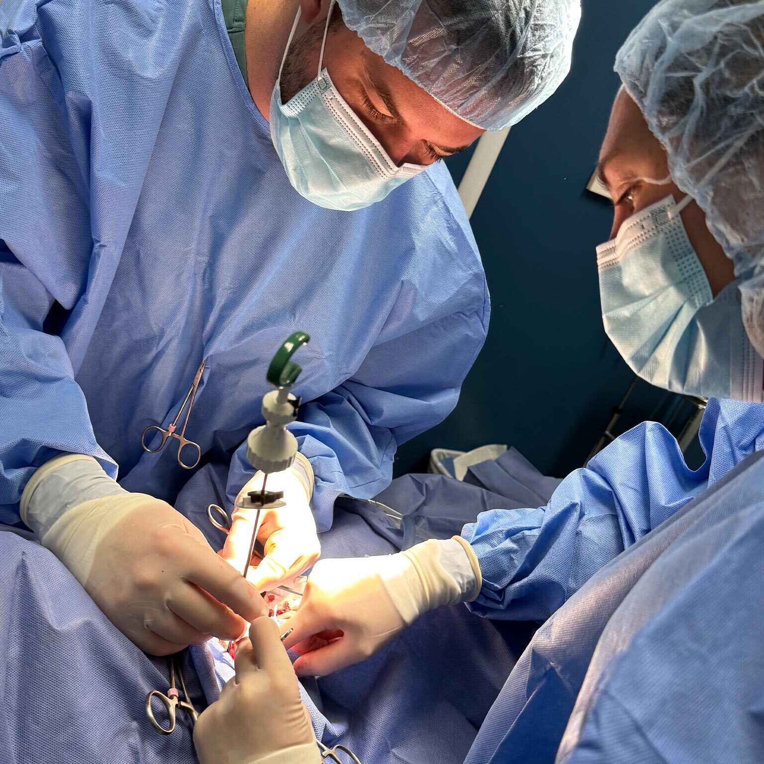 two veterinarians wearing surgical scrubs performing laparoscopic surgery