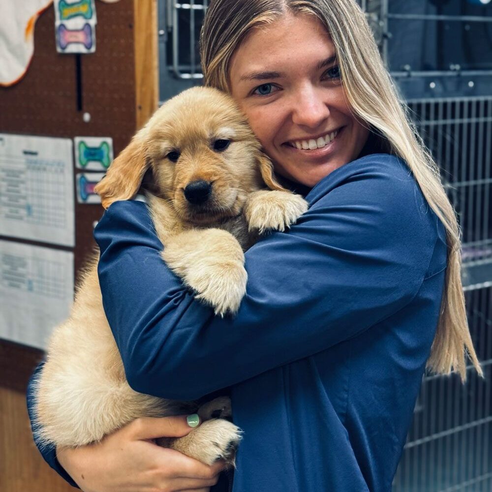 Vet Assistant Hugging Small Pup While Smiling