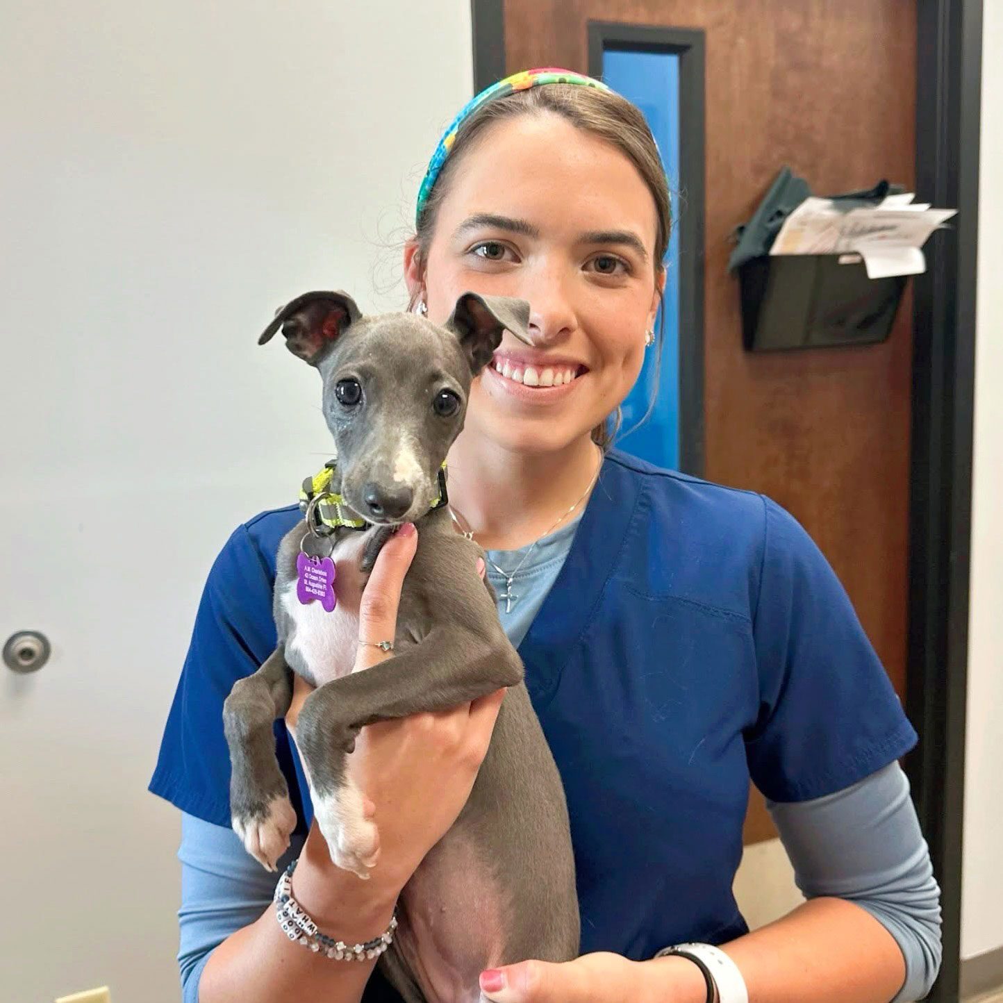 female veterinary technician holding a puppy