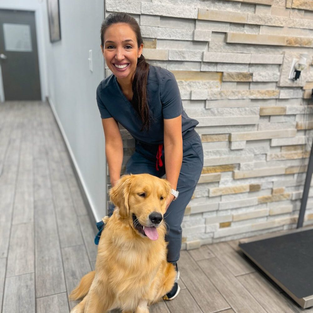 Vet With Dog
