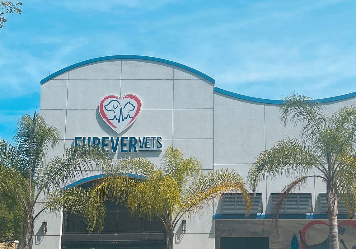 outside of forever vets animal hospital
