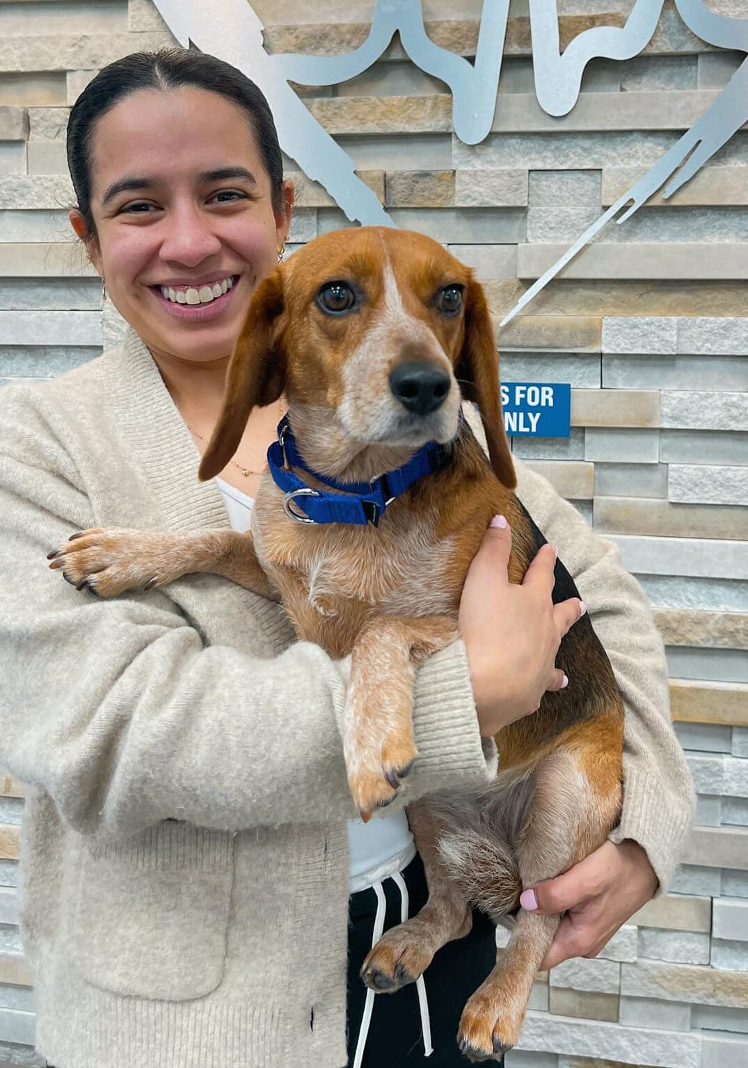 Woman Smiling While Holding Senior Beagle