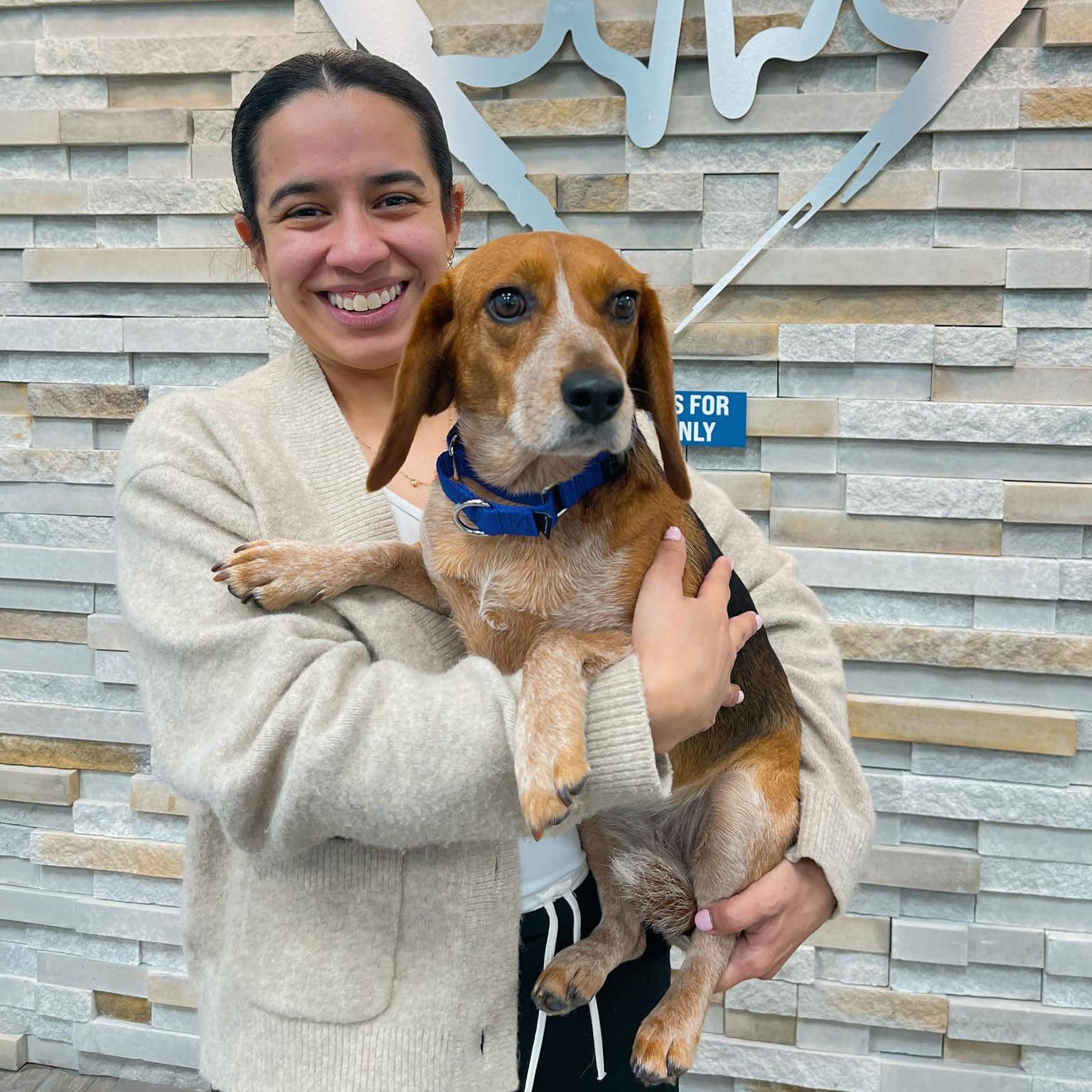 Woman Smiling While Holding Senior Beagle