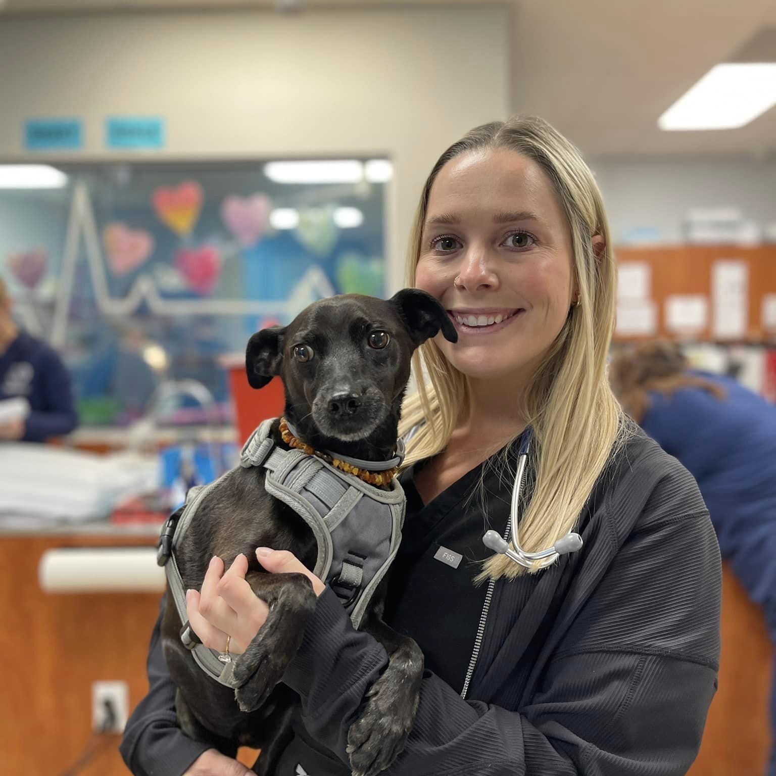 smiling woman holding a small black dog