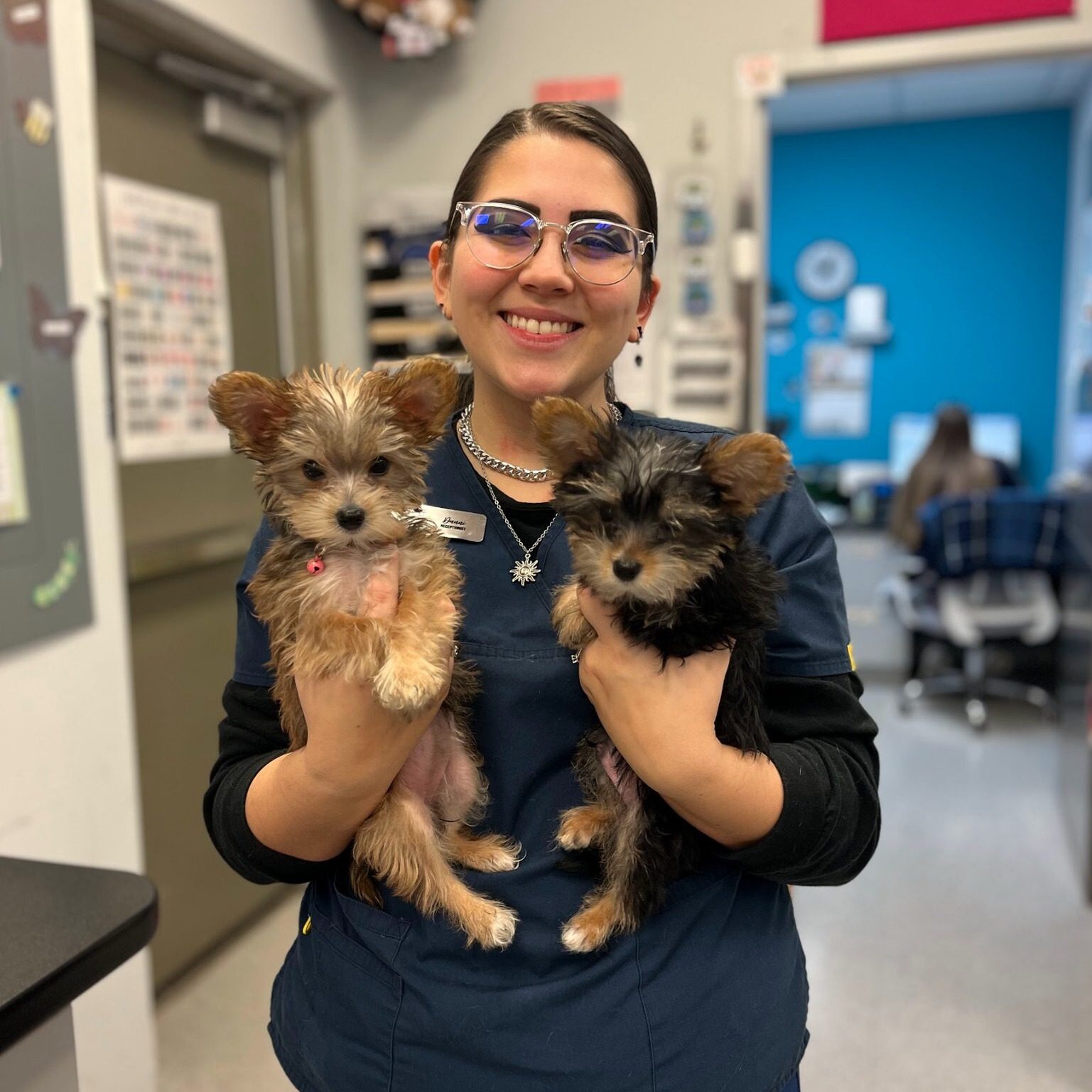 smiling woman holding two small brown and black colored dogs